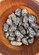 Load image into Gallery viewer, Dalmation Jasper
