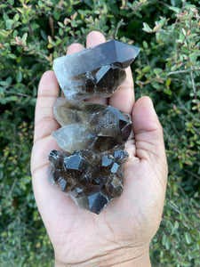 Smoky Quartz Cluster