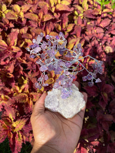 Amethyst Crystal Tree